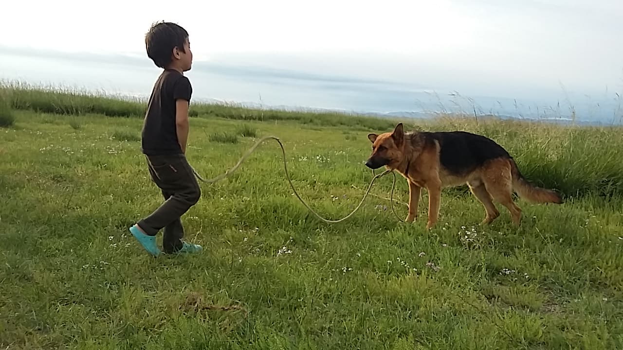 Countryside slideshow image